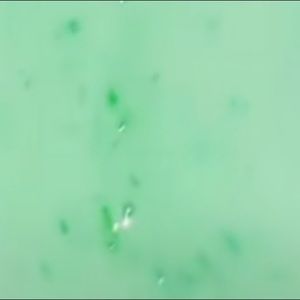 Meet your Posher, Graciela